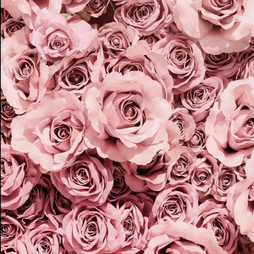 Meet your Posher, Eve